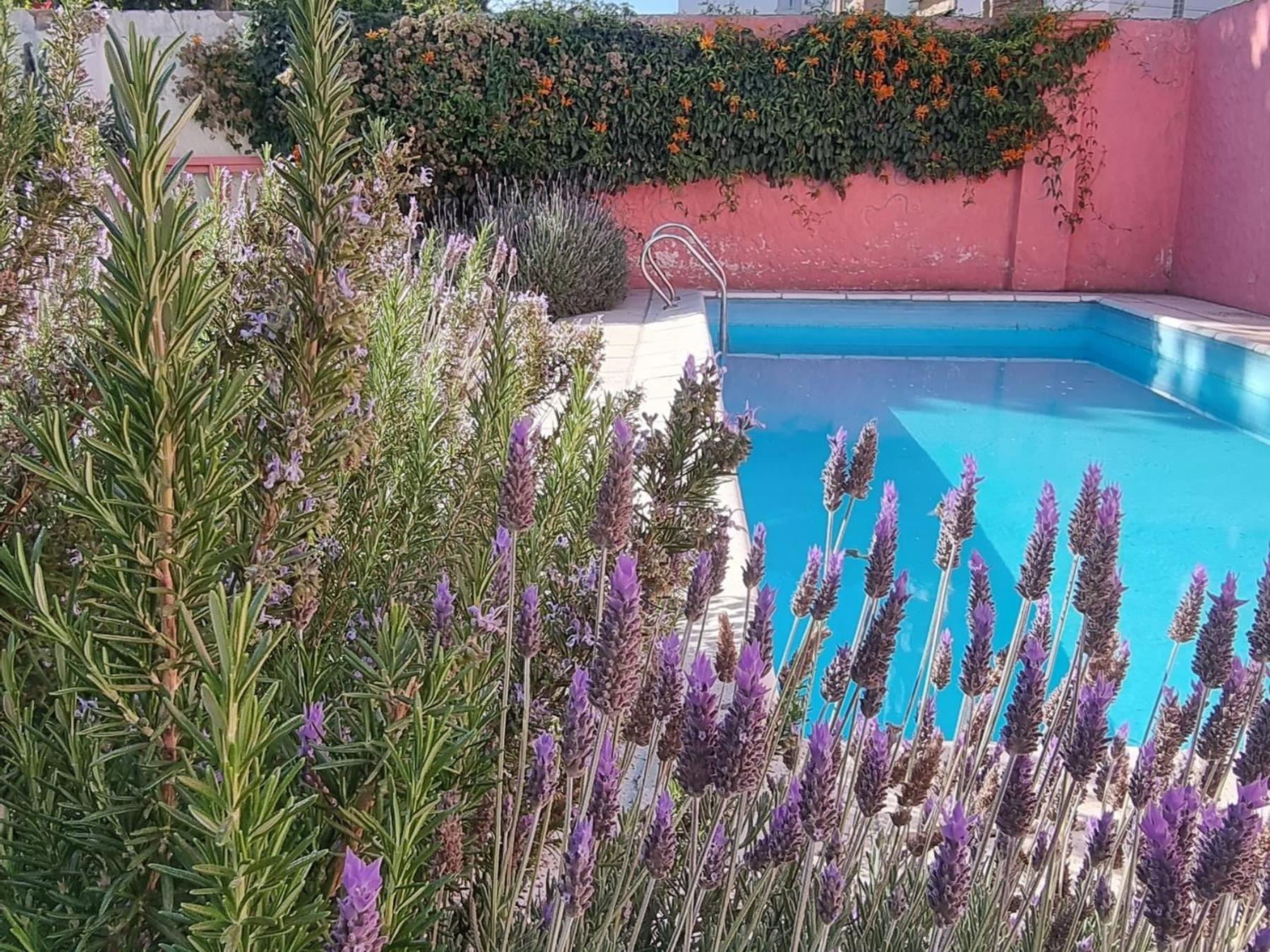 Yunga Hostel Salta Luaran gambar
