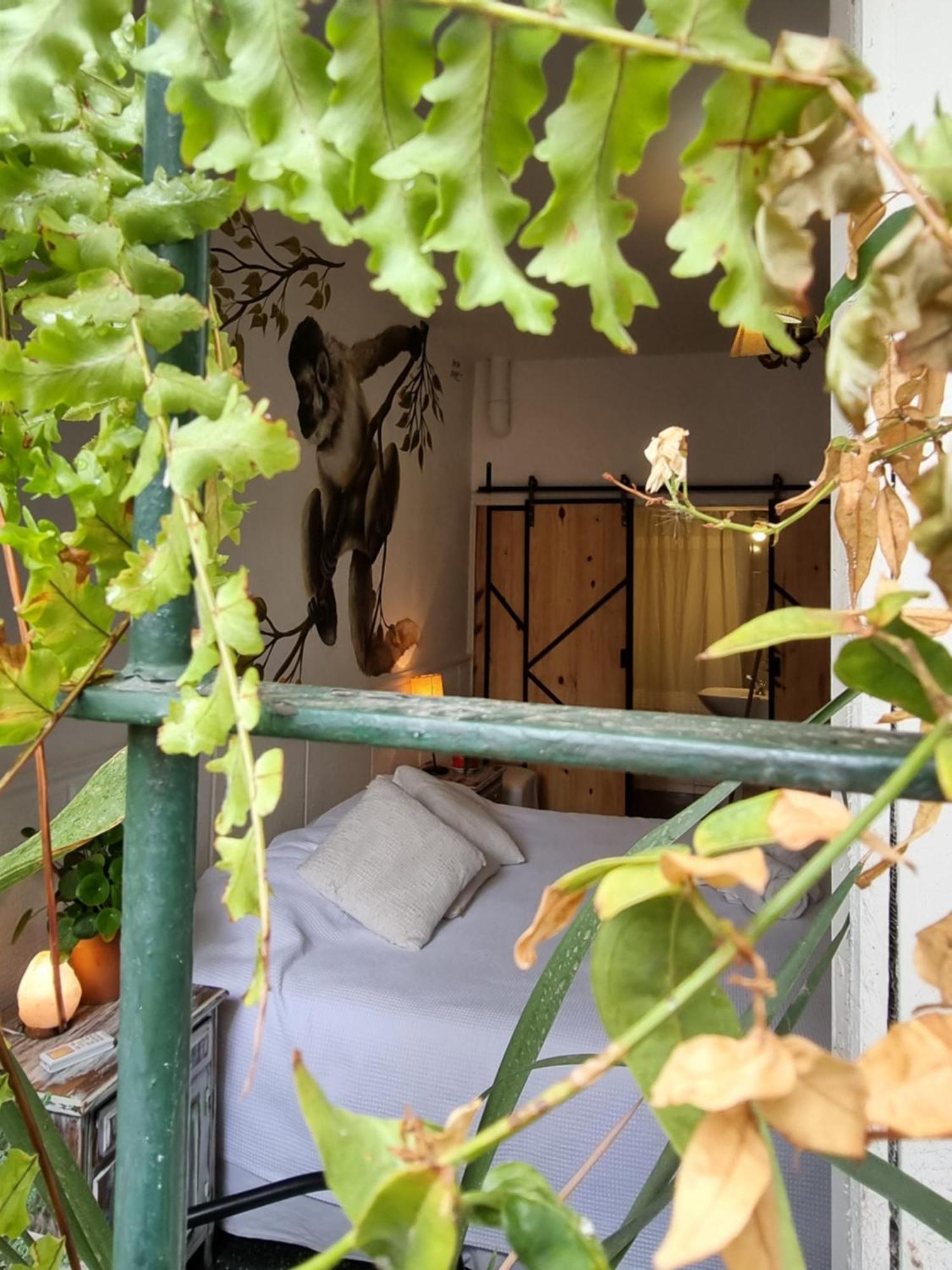 Yunga Hostel Salta Bilik gambar